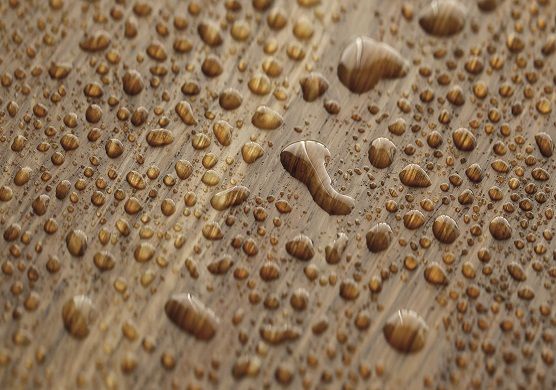 Naturally oak tree with water droplets coated with an oleophobic composition close-up background. Protective wood compound concept.